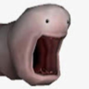 Meet your Posher, Cesar